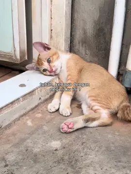 LEKAS MEMBAIK NEGARA KU #indonesia #demokrasi #viral #fyp 