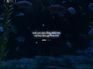 06:39 | “tình yêu như cánh chim trời”…