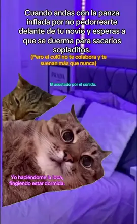 jajajajaja 