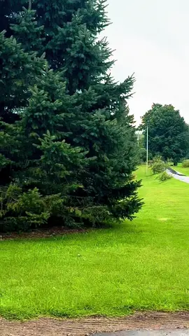Canada countryside life #canada_life🇨🇦 #countrysidelifestyle🍂 #foryou 