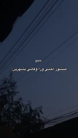 نفر طلعانة روحة #ان_كنت_مثلي_للأحبة_فاقداً #اكسبلور #ضوجة #محضوره_من_الاكسبلور_والمشاهدات 