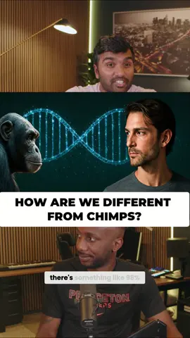 Chimpanzee vs. human DNA: 98% the same?! 🤯 It's all in the *machinery* ⚙️ that controls our genes! Wait for the plot twist! 🧠 #HumanEvolution #ScienceFacts #DNA #Chimpanzee #BrainDevelopment
