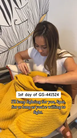 Spot will need bloodwork and repeat CBC/chemistry panels every 4 weeks—around days 28, 56, and 80 of treatment. We’ll be posting another GoFundMe soon to help cover his ongoing medical expenses.#fipwarrior #catsoftiktok #viraltiktok #catmom #PetsOfTikTok 
