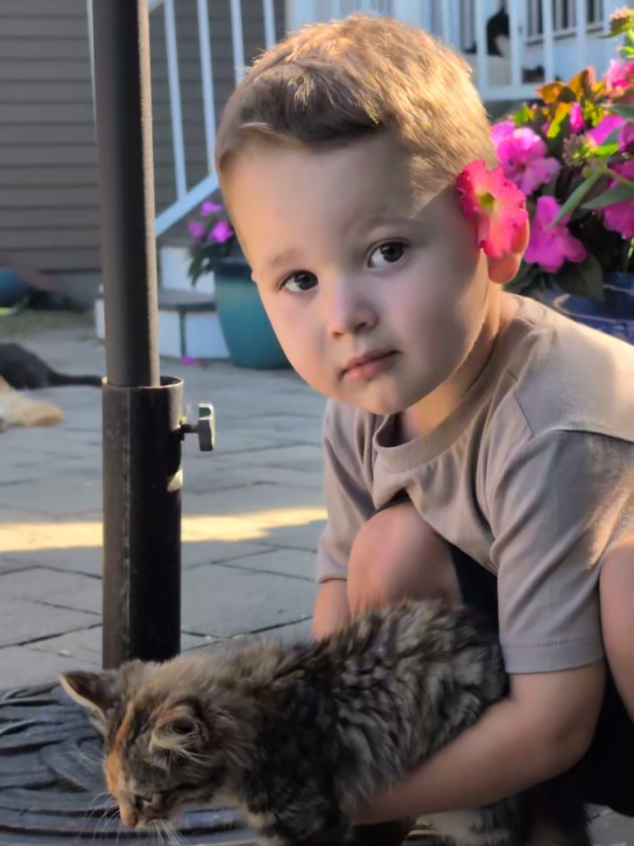 a heart full of love #family #flowers #kittens #Love #sweetchild 