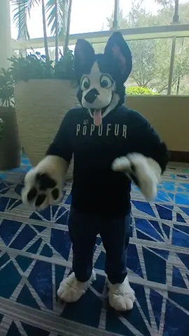 A very special message from the amazing Buddy himself!!!  ahh!! I was so happy to see him again! I met him at my very first Megaplex. Now at my last.  #fluffybunkingdom #megaplex #fursuit #furry #megaplex2025 