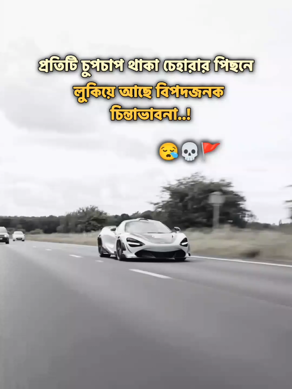 ধন্যবাদ..💀🫱🏻‍🫲🏽 ... #foryou #foryoupage #sigma #statusvideo #itsmearyan015 