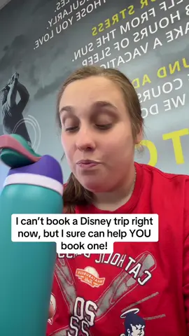 Comment below, I’d love to help you🙌🏼 @Cathryn | Travel Agent✈️  #travel #disney #sahm #fyp #MomsofTikTok 