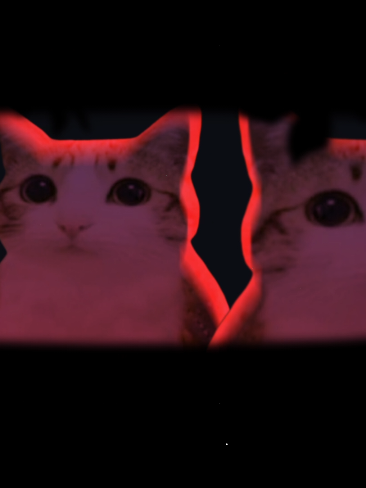 meowl5 #meowl #mizu5 #mizukiakiyama #mizuki #pjsk 