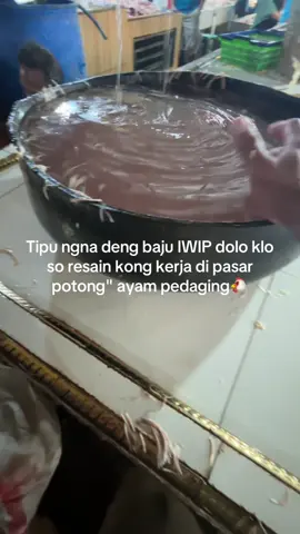 Copy lagi 😅 #gorontalo #fyppppppppppppppppppppppp #fypage 