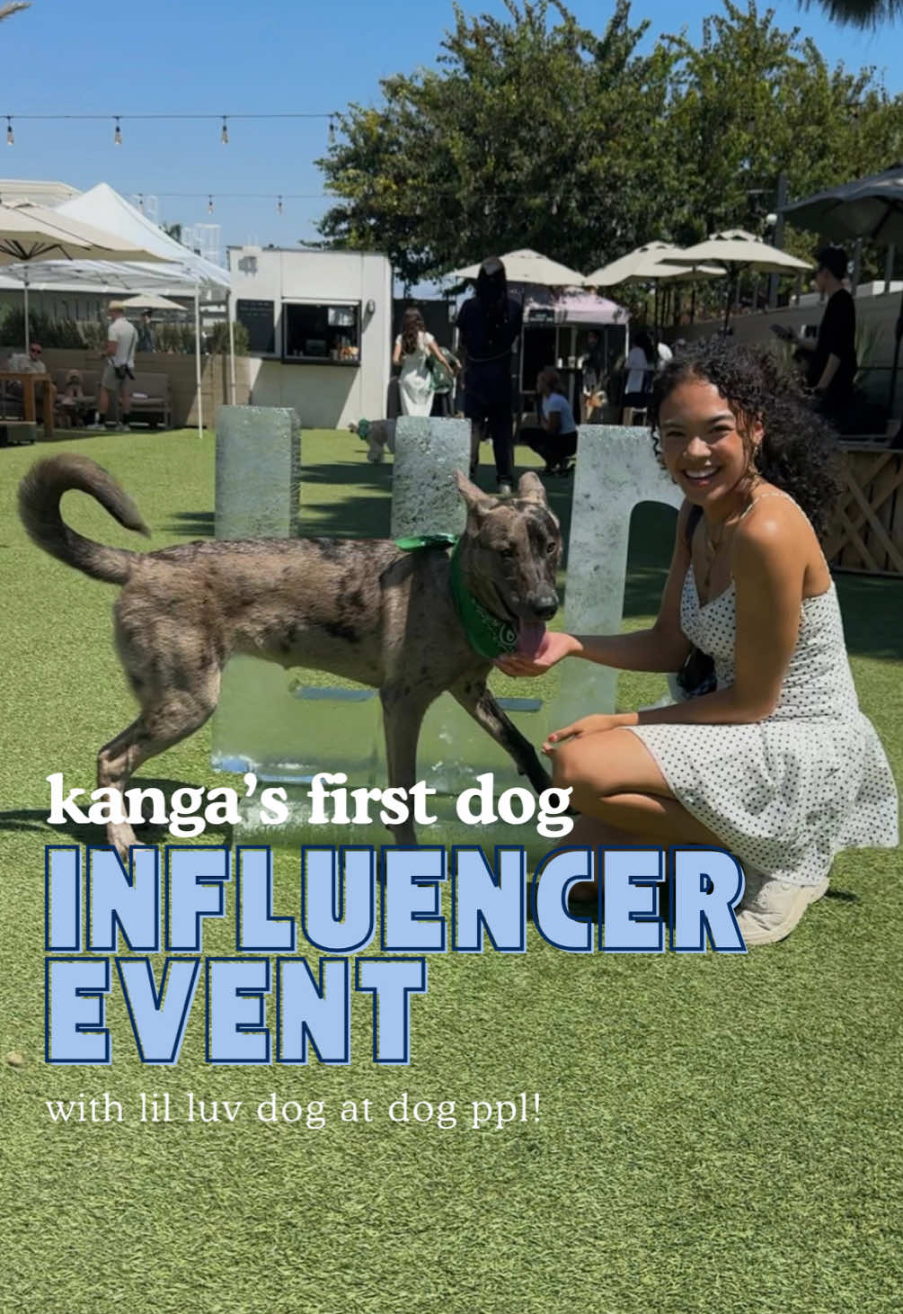 dry shampoo for dogs? dog influencer event? my dog having a busier Saturday than me? sign me up 🙂‍↕️ kanga got to go to @dogppl for the @LIL LUV DOG launch today! 🐾✨📲 @Montys Good Burger so excited for the launch of a new clean pet brand!! #petinfluencer #doginfluencer #puppytiktok #dogppl  