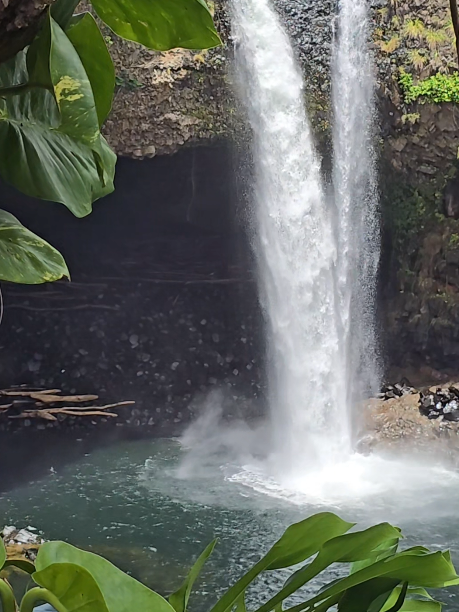 Rainbow Falls, Hawaii. Nature therapy. Waterfalls under beautiful trees. Big Island, Hawaii. Places to see!  #waterfall #Hawaii #nature #Outdoors #fyp 
