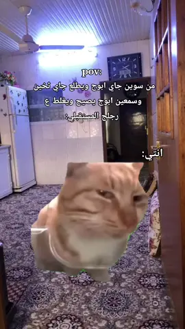 #رياكشن #تحشيش_عراقي_للضحك😂😂😂😂😂 #ميمز #اكسبلورexplore #شعب_الصيني_ماله_حل😂😂 