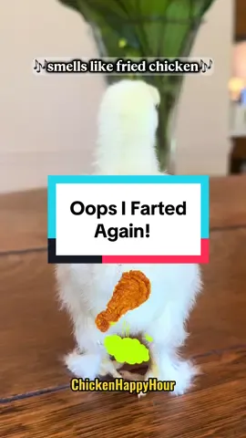 Oops I farted again! 🐥💨 #fart #memestiktok #chickens #parody #chickenhappyhour   