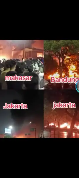 betul pak Jokowi  #fyp  #tiktokviral 