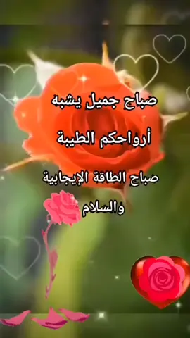 #صباحكم_أحلى_صباح #aicha 