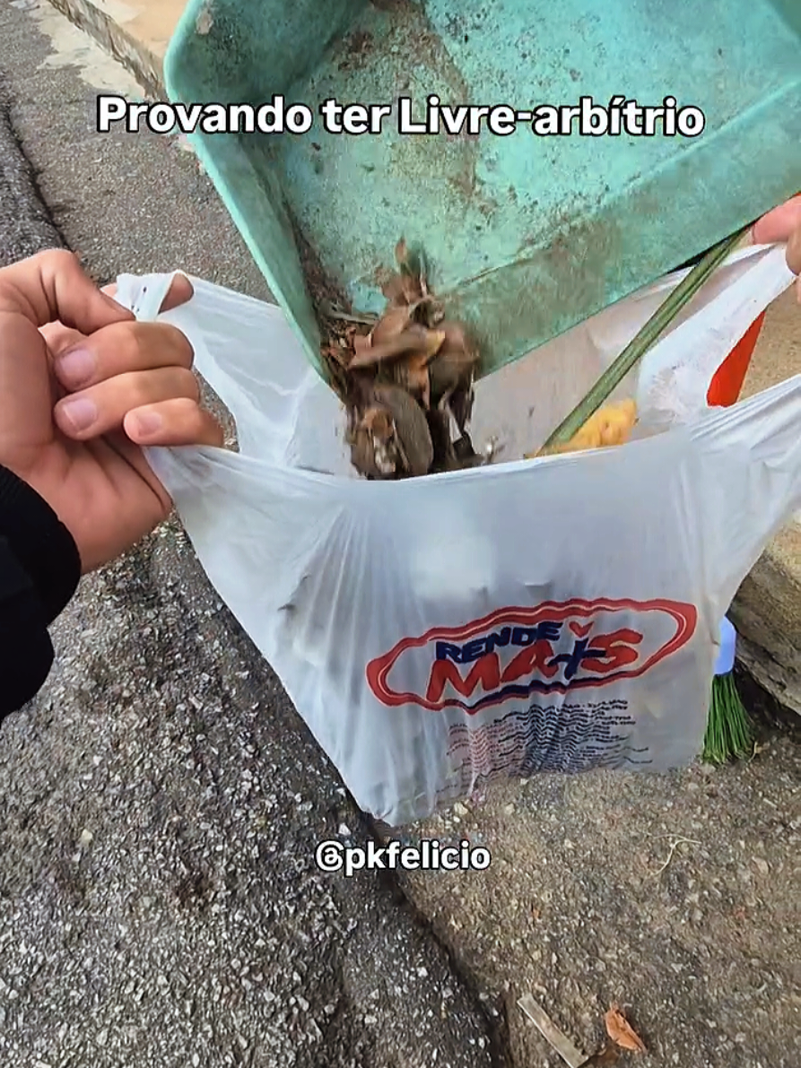 Segue ai 🙏
