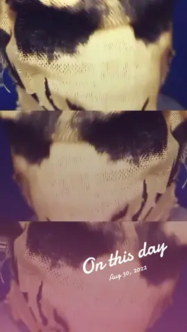 #onthisday