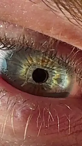 Most ethnic eyes in agartha #eyes #ethnicity #culture 