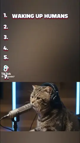 Credit: ustrends7 This is the only reason #artificialintelligence should be used for 😹😹😹 #funnycats 