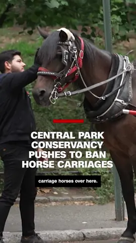 For more than a decade, some New Yorkers have called for a horse carriage ban, and now the Conservancy is joining that call. #cnn #news