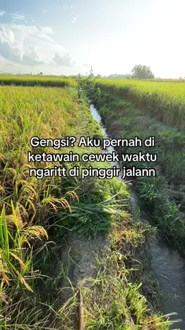 #peternak #peternaksapiindonesia #ngaritsukettttt #fyppppppppppppppppppppppp #masukberandamuu 