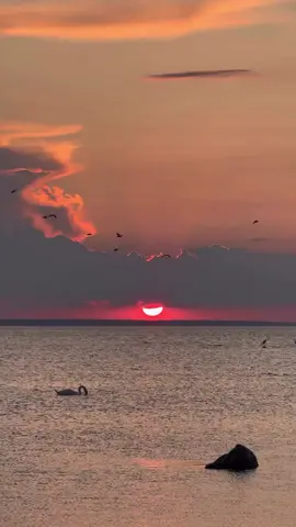 🌊🌬️🌅🧚🔥💯