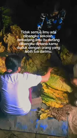 ilmu tidak di bangku saja ilmu bisa di dapatkan dari orang yang lebih tua #melepaskanmu #temaggungkotatemabako #soto #ilmu #fyp 