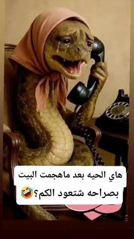 #الشعب_الصيني_ماله_حل😂😂 #مشاهيرالعالم #اكسبلورexplore @