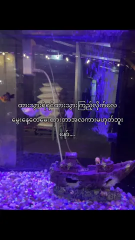 @爱•|✰fie✰ᥫ 🙂‍↕️💗#crpစာတို #fppppppppppppppppppp #fypシ゚viral #ရောက်ချင်တဲ့နေရာရောက်👌 