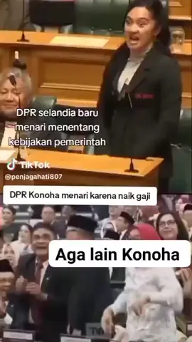 #fyp #viral #indonesia🇮🇩 #videofyp #dpr 