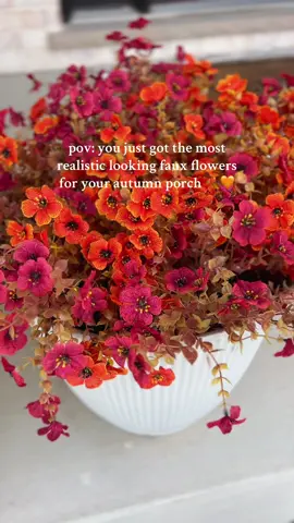 I just love autumn… I love it 🤎… and I love these flowers! How pretty are they?! They are the perfect addition to my front porch for autumn! 🧡 #flowers #autumndecor #falldecor #frontporch #homedecortiktok 