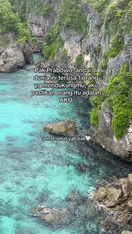 Kami masih akan selalu ada di barisan Bapak #prabowo #dprdemo #foryoupagе 