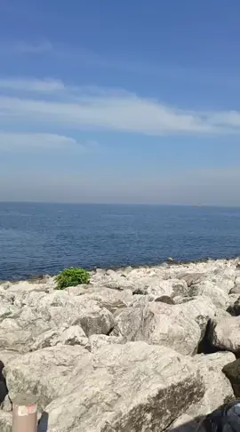 #CPI makassara di pagi hari#pantai CPI MAKASAR