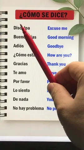 Learn English with me #ingles #aprendeingles #inglesonline #englishteacher #englishbulldog 