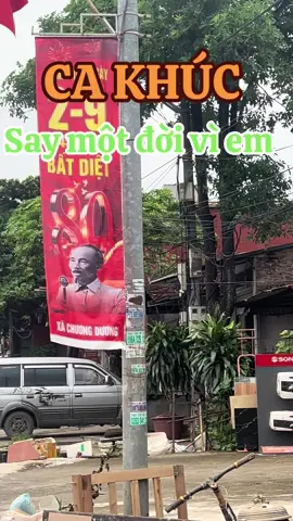Say một đời vì men mà vì em #xuhuong #nhachaymoingay #music #nhac 