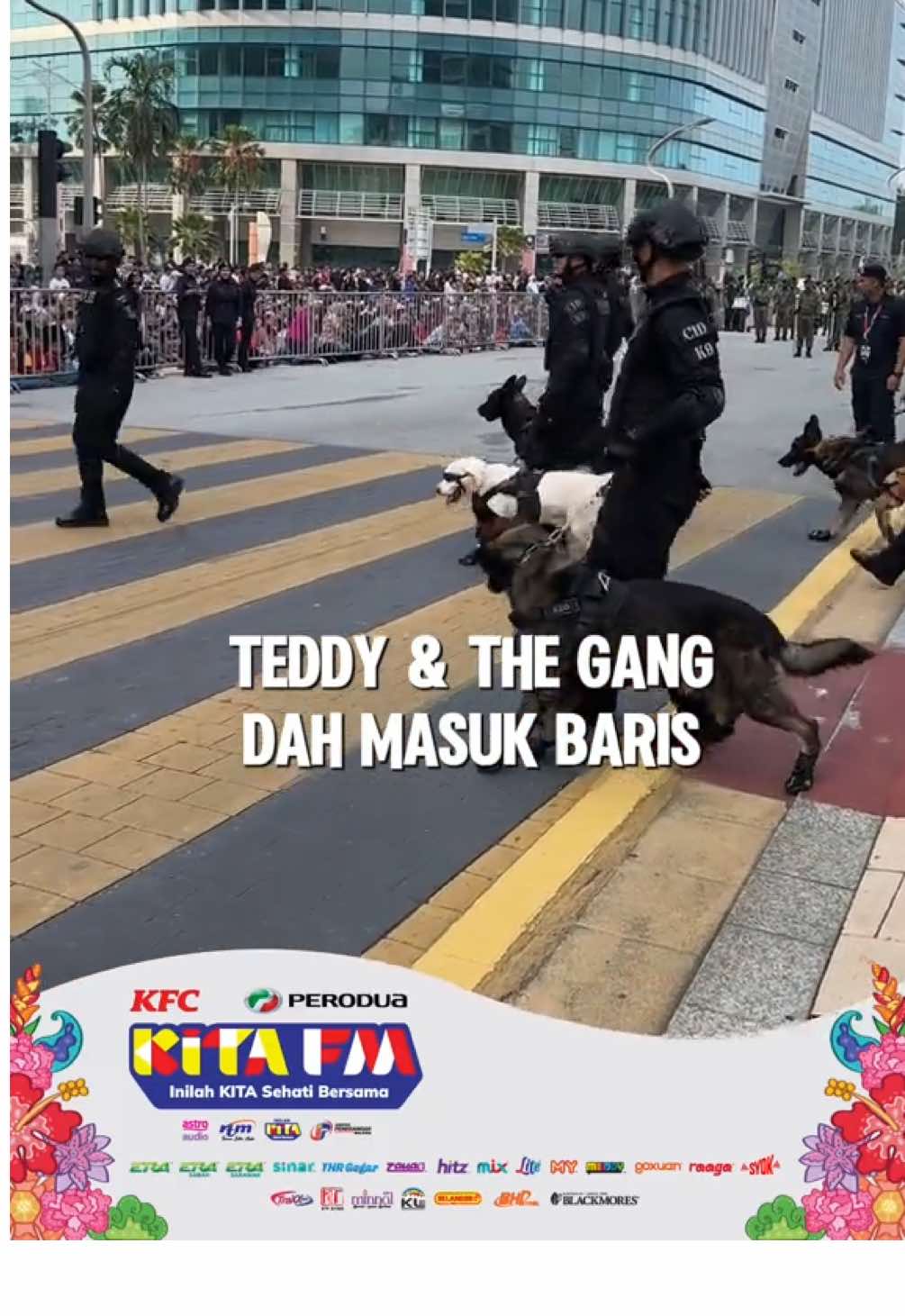 Teddy & The Gang dah masuk baris! Dah ready nak untuk perarakan Hari Kebangsaan 2025 😍 Ramai betul peminat anjing K9 Polis ni hehe  #KITAFM2025  #InilahKITA #SehatiBersama  #HKHM2025  #MalaysiaMADANI     