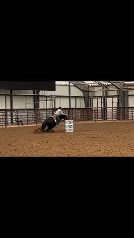 I may not be able to jockey this horse whatsoever but I am proud that I got him this far on barrels that I can throw a kid on him to jump ride. These two never ran together, didn’t do time onlies, just went and did it 🩵