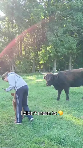 Funny cow🐂🐄#cow #funny #fyp #funnyanimals #farmlife 