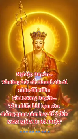 Trầm Luân bởi một chữ Tình  Bởi mình không thắng nổi mình mà thôi... NAM MÔ A DI ĐÀ PHẬT 🪷🪷🪷🪷 #loiphatdayvecuocsong  #phatphapnhiemmau  #phatphapvadoisong  #phatphapvobien  #Phatotrongtam 