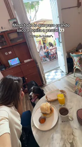 La bonita es un escándalo 🤭. Miren lo chuckyyyy que es 👀 #Vlog #bernesemountaindog 