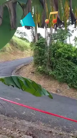 #rally 