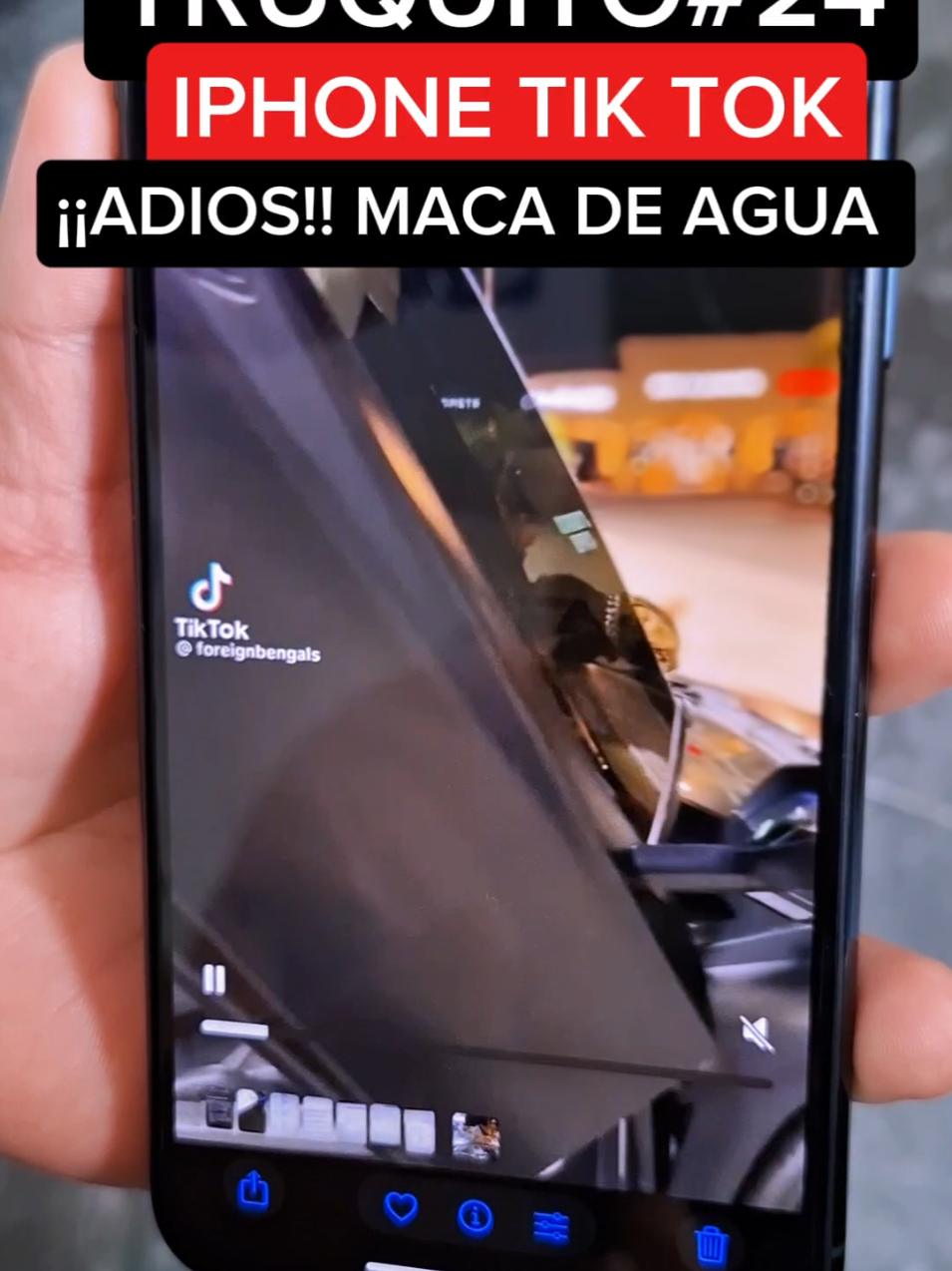 Como guardar videos de tiktok sin la marca de agua? #trucosdeiphone #videos #telefono #iphonetips #iphonetricks 