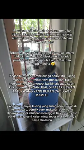 Please dibalikin ajaa yaa kucingnya. Sedih bgt lho khawatir kucingnya stress berat. They are living beings too 😢 #kucinguyakuya #demodpr #rumahekopatrio #rumahuyakuya #30agustus2023 