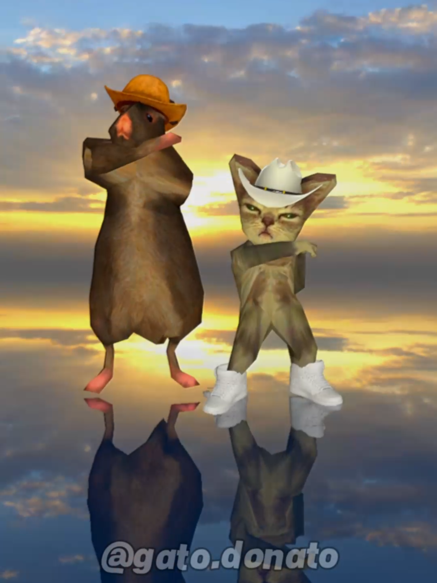 Agua Cantada #gatodonato #gato #rato #cat #rat #musica #dança #gmod #phonk