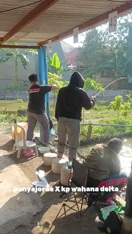 alhamdulillah haupp☺🥰😇😍🥳 #mancing #mancingmania #fyp #pemancing #kolampancing @KP Wahana Delta @EL @Akbar Brawijaya 