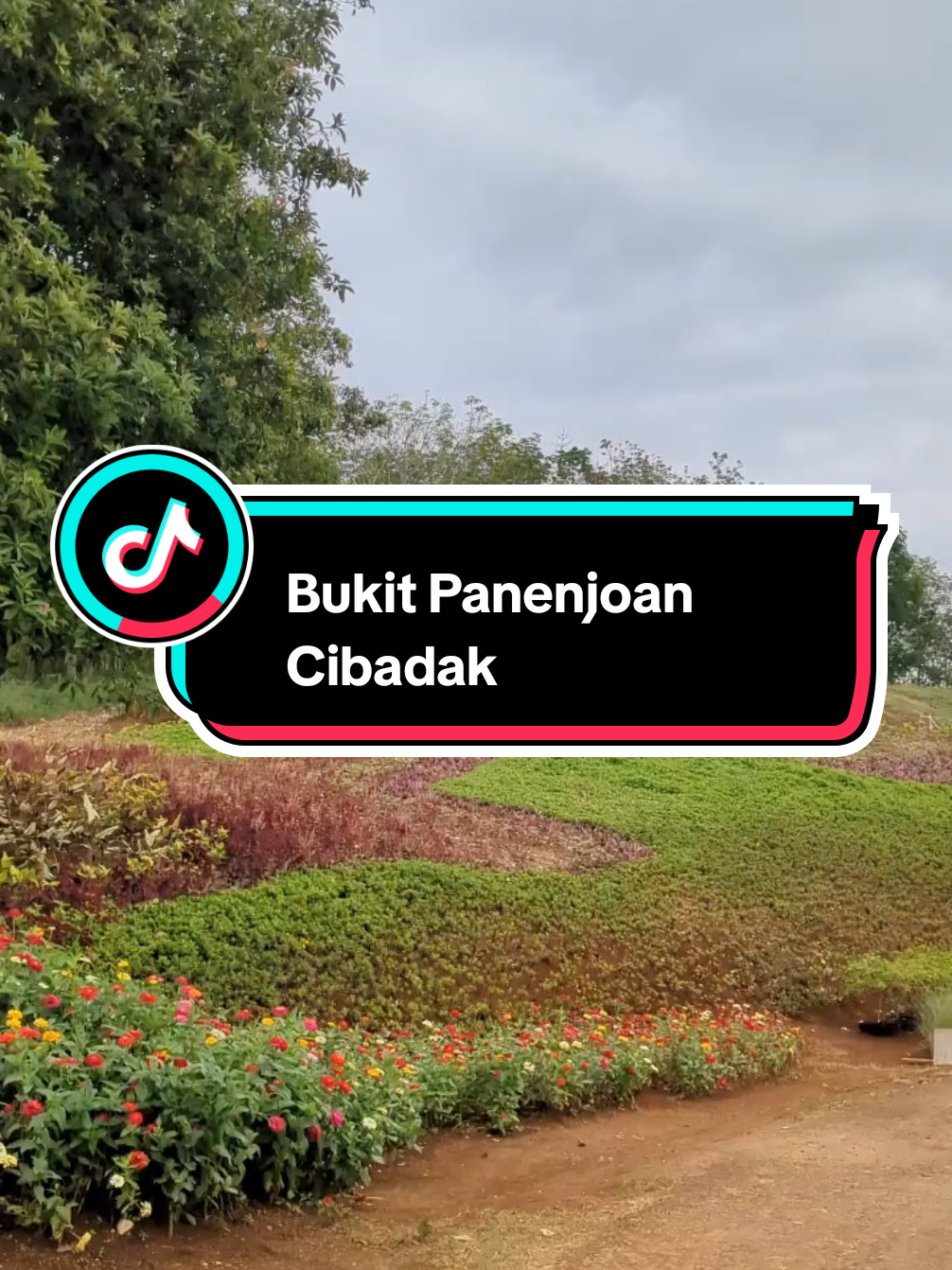 Tah ieu NU kamari naroskeun jalan na timana Mun ka Bukit panenjoan. Absen bubtis kadieu? #panoramasukabumi #panenjoan #cibadak #sukabumi #wisata 