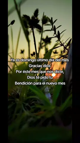 #motivación #paratiiiiiiiiiiiiiiiiiiiiiiiiiiiiiii  feliz domingo para todos 