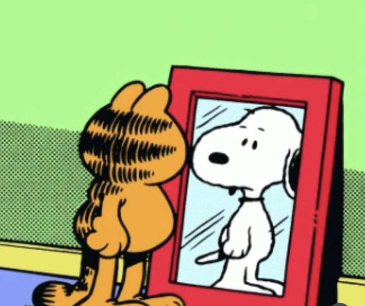 snoopy & garfield 🧡🤍 #snoopy #garfield #cute #friends #fyp 