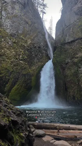 The Cascading beauty 📍Wahclella Falls, Columbia River Gorge,Oregon  #wahclellafalls #waterfall #oregon #wahclellafallstrail #foryou 