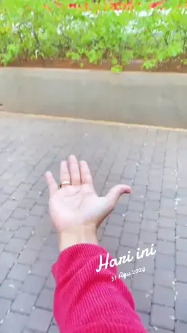 #padahariini